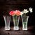 Набор ваз Spring, 13,6 см, 3 шт, Nachtmann, изображение 4