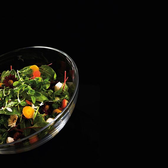 Набор салатников Vivendi ? la Carte, 5 шт. (25 см, 1 шт + 17 см, 4 шт.), Nachtmann, изображение 5